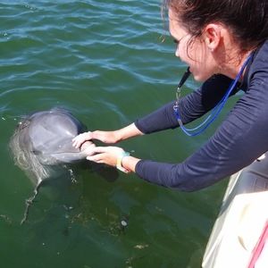 Meet your Posher, Taylor